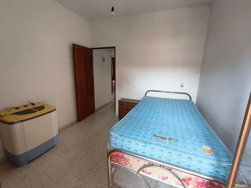 Magamistoad - East-Facing Flat with Terraces in Central Location