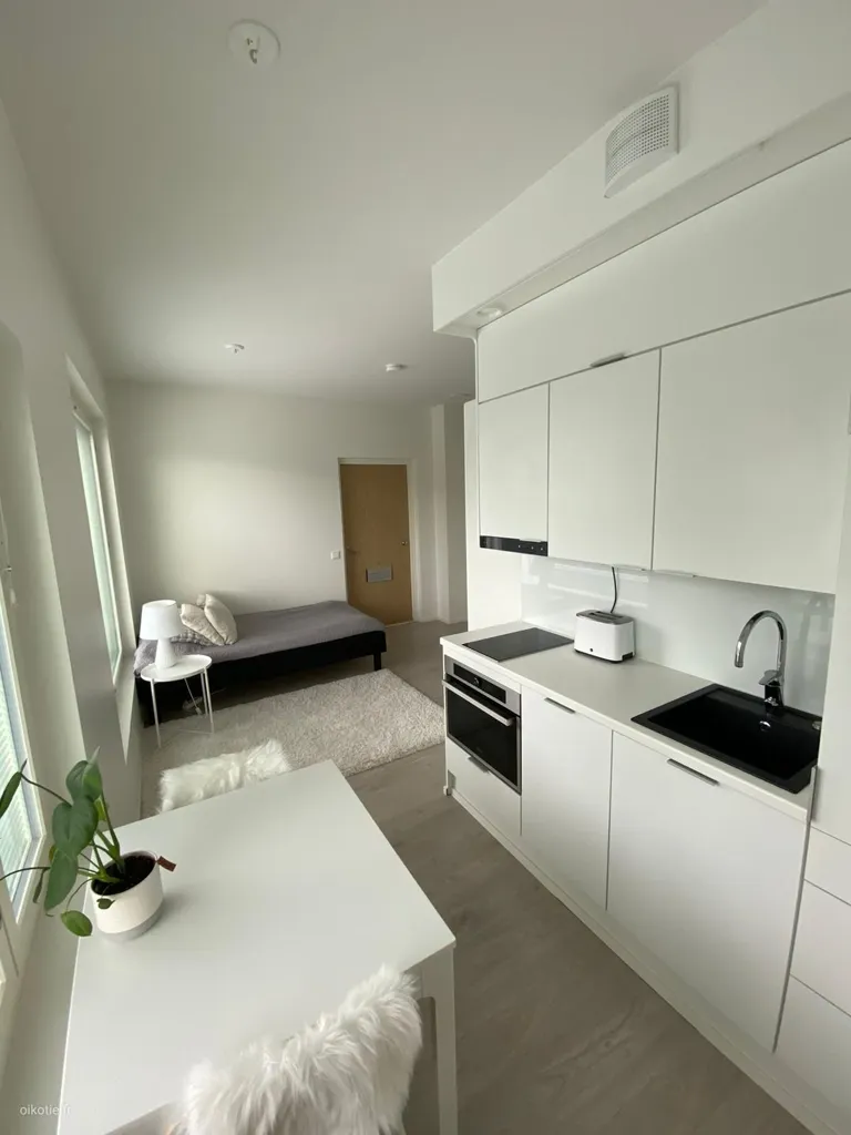 Cucina - Modern Studio Flat with Kitchen in Niittykumpu, Espoo
