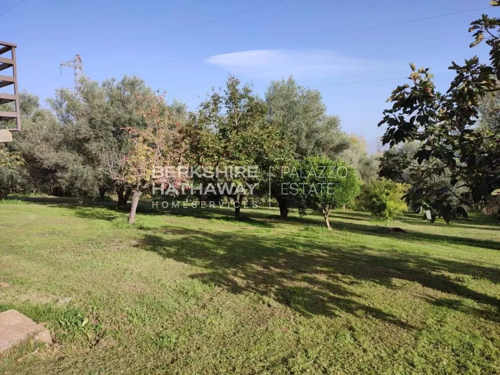 Jardin - Villa with Private Orchard in Rombiolo