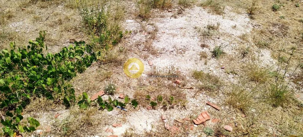 Aed - Plot with Sea View in KEA - Ellinika