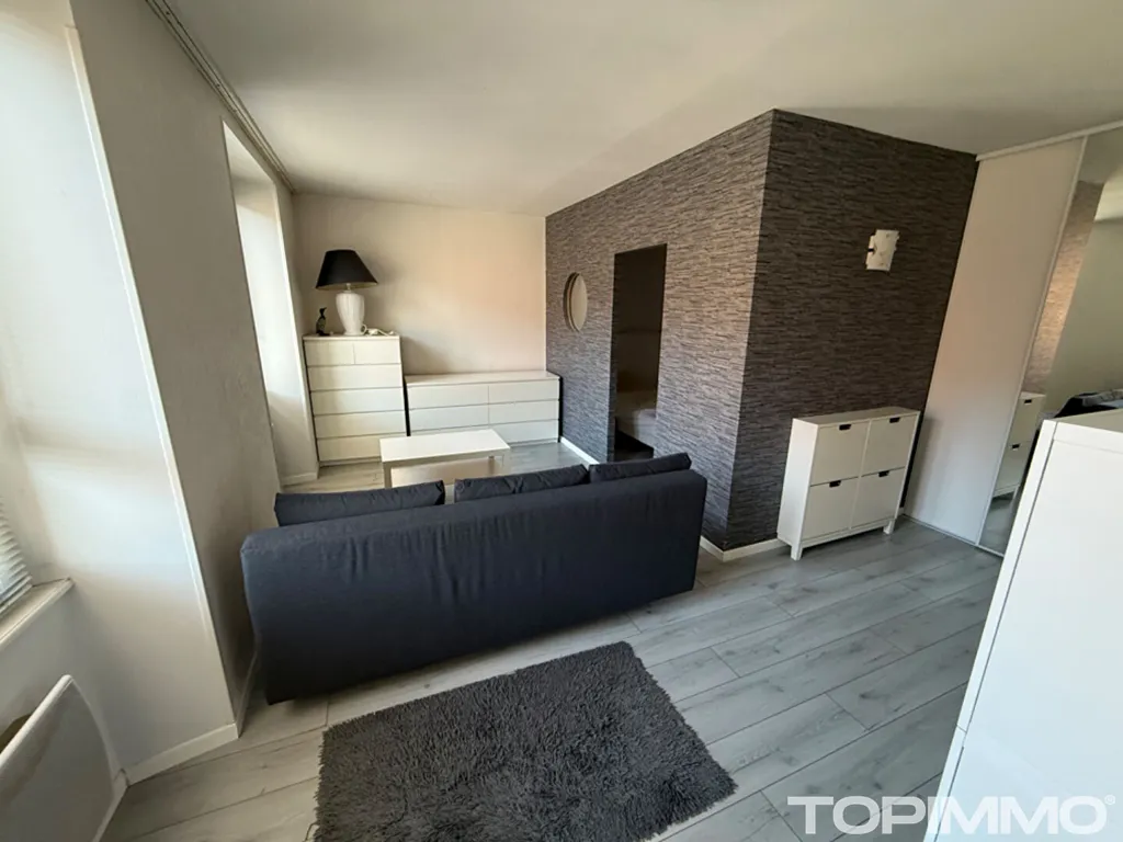 Séjour - Appartement Meublé 2 Pièces à Thann