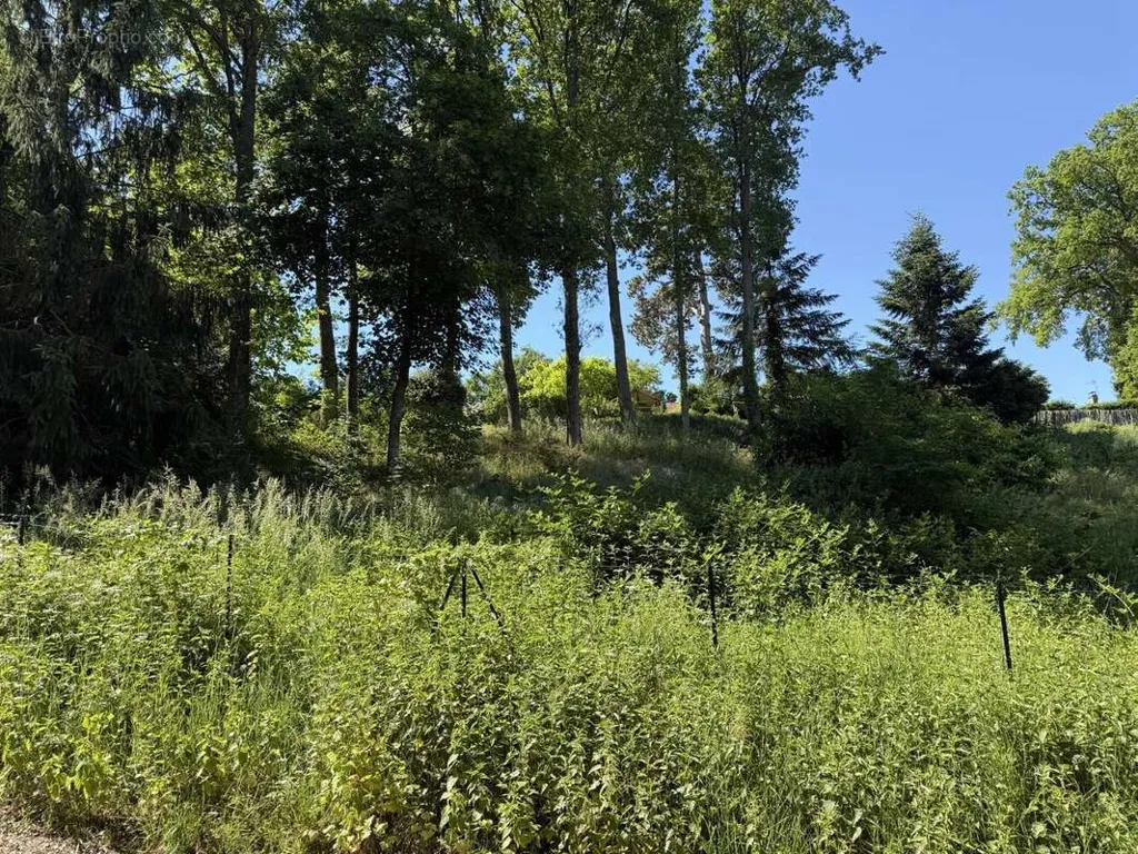 Garden - Buildable Plot with 677 m² in Auxerre