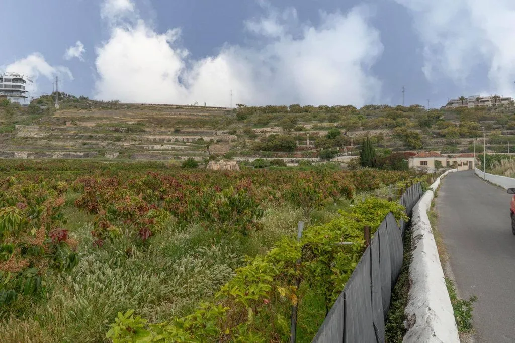 Välivaade - Development Land with Sea View in Salobreña