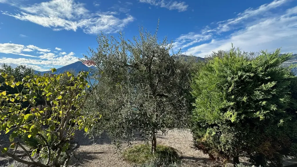 Giardino - Villa with Panoramic Lake View in Brenzone