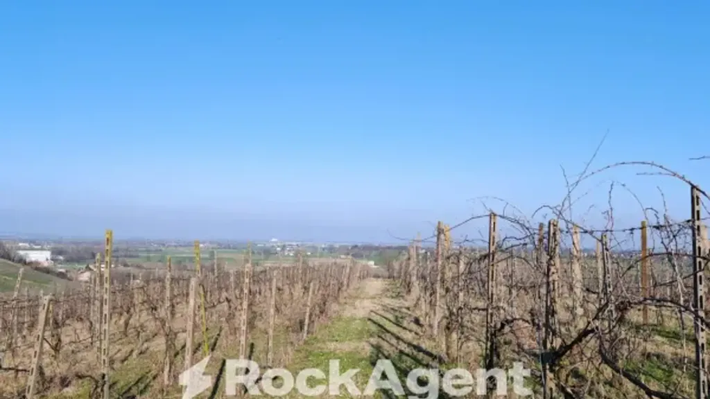 Aed - Cascina with Vineyard in San Damiano al Colle