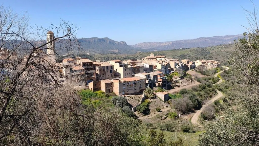 Boutique Vineyard with Winery in Priorat
