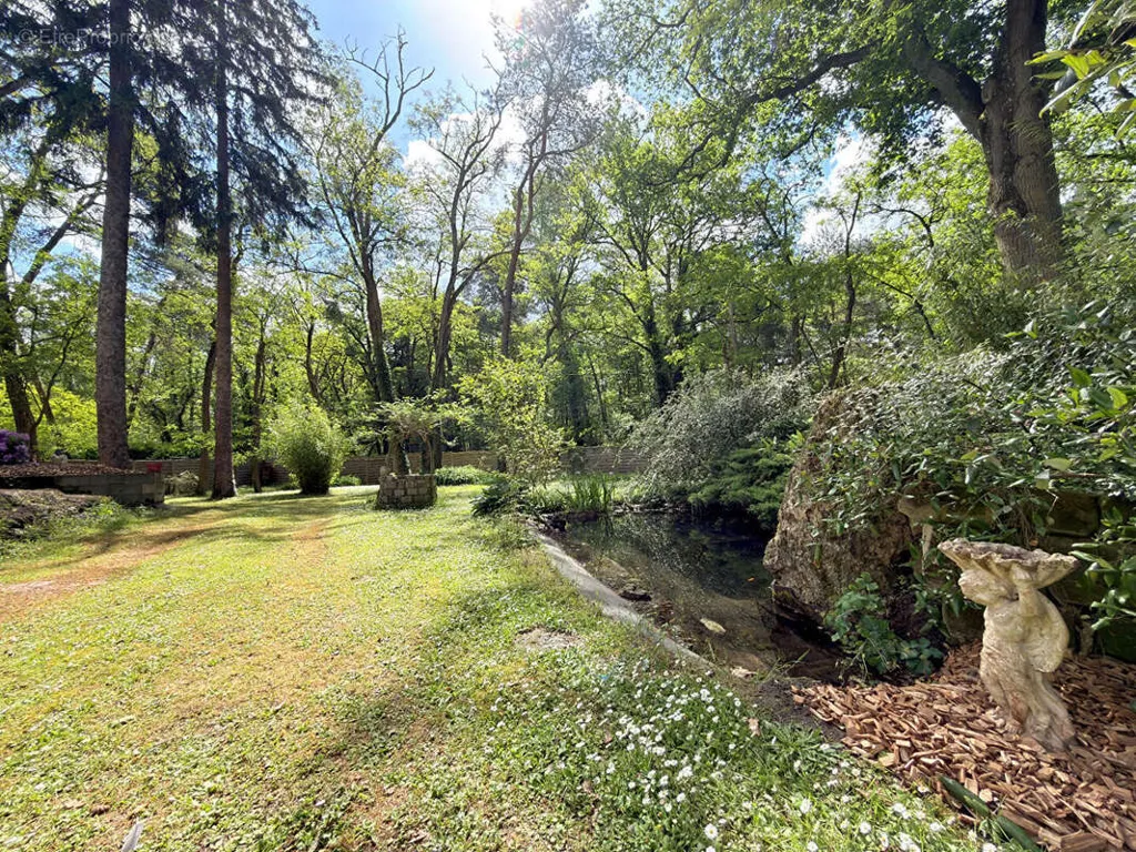 Jardin - Maison 8 pièces à Noisy-Sur-Ecole