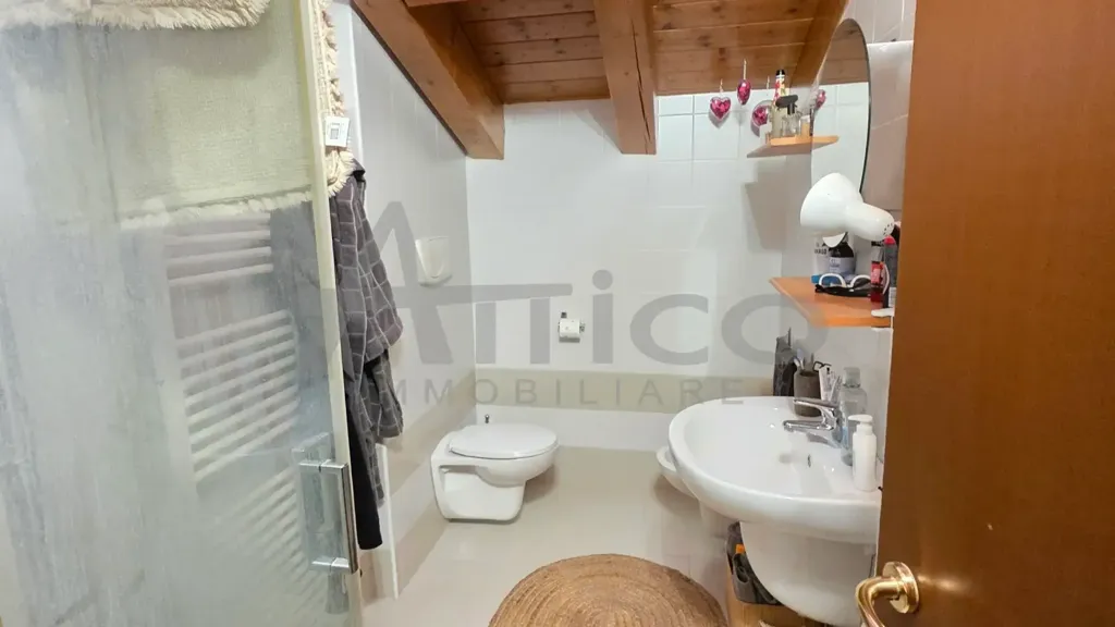 Vannitoad - Recent Duplex with Terrace in Rovigo