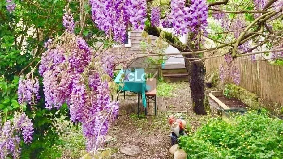 Garden - T3 Garden Level Flat with Private Garden in Lyon