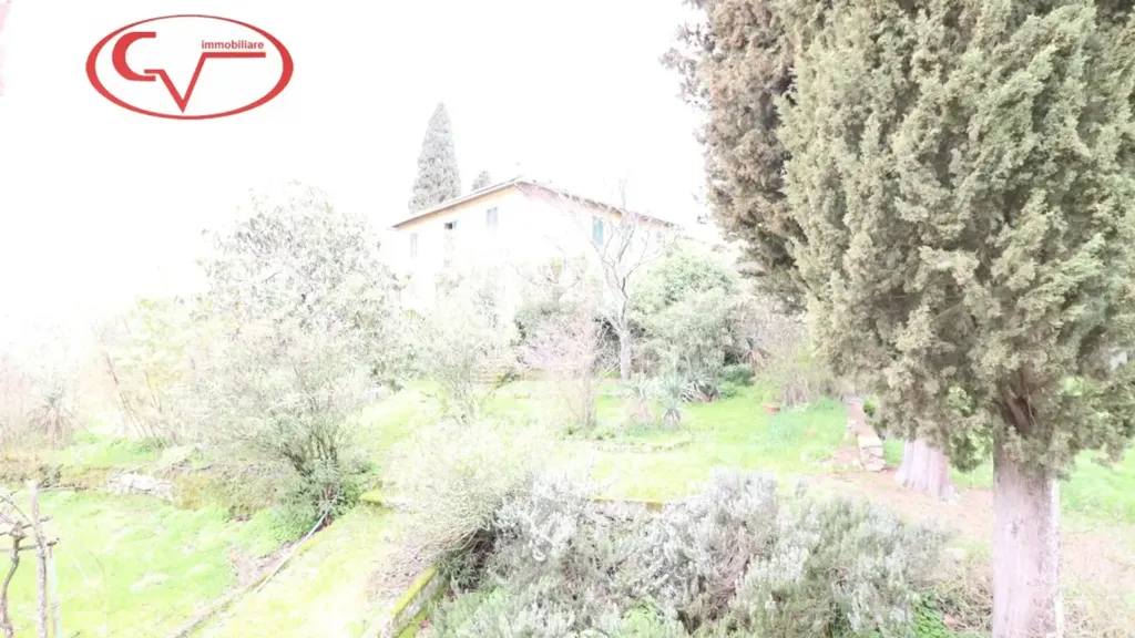 Jardin - Historic Villa with Olive Grove in Montevarchi