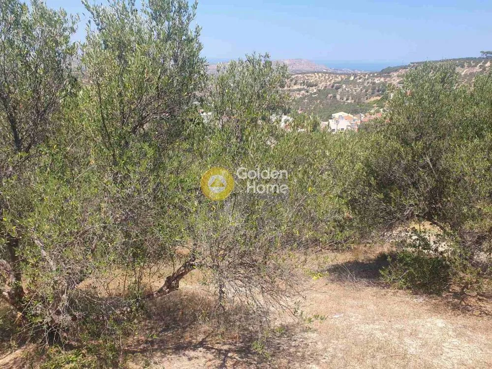Aed - Plot with Sea View in Stamnoi