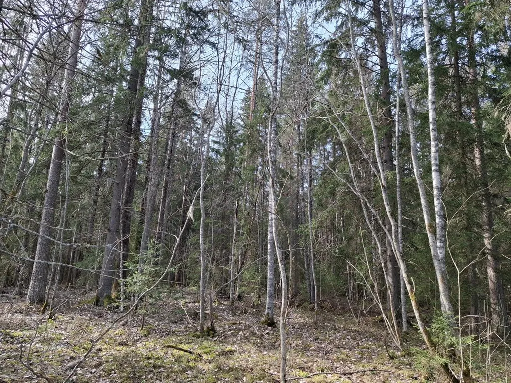 Maa asukohas Ylöjärvi