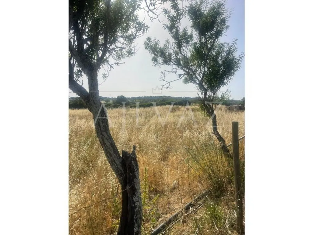 land_plot