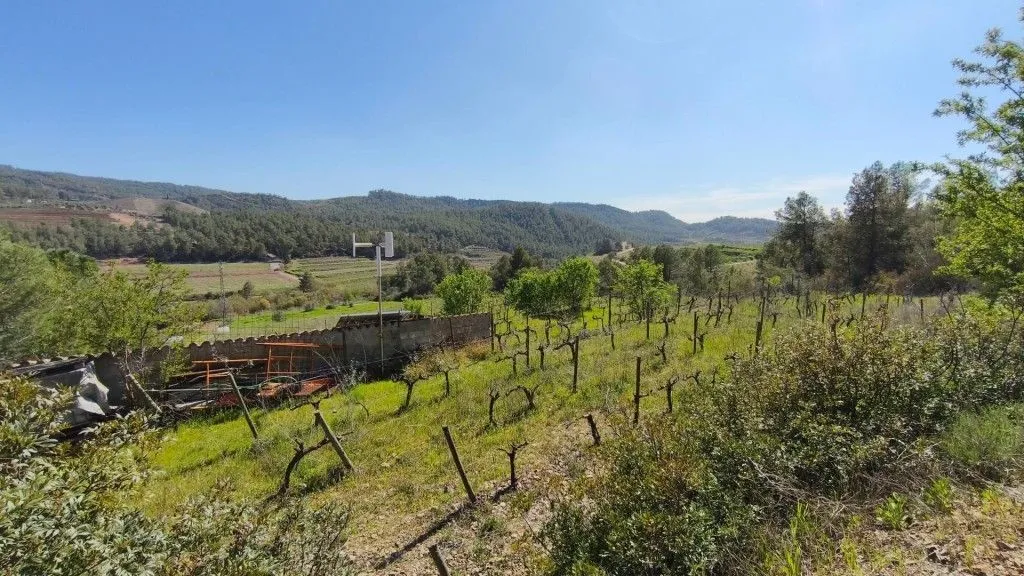 Aed - Boutique Vineyard with Winery in Priorat