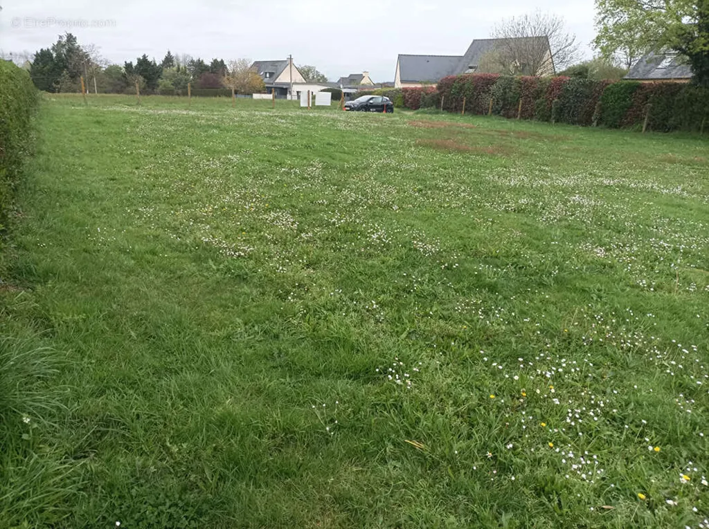 Giardino - 1140 m² Plot with Garden in Pléchâtel
