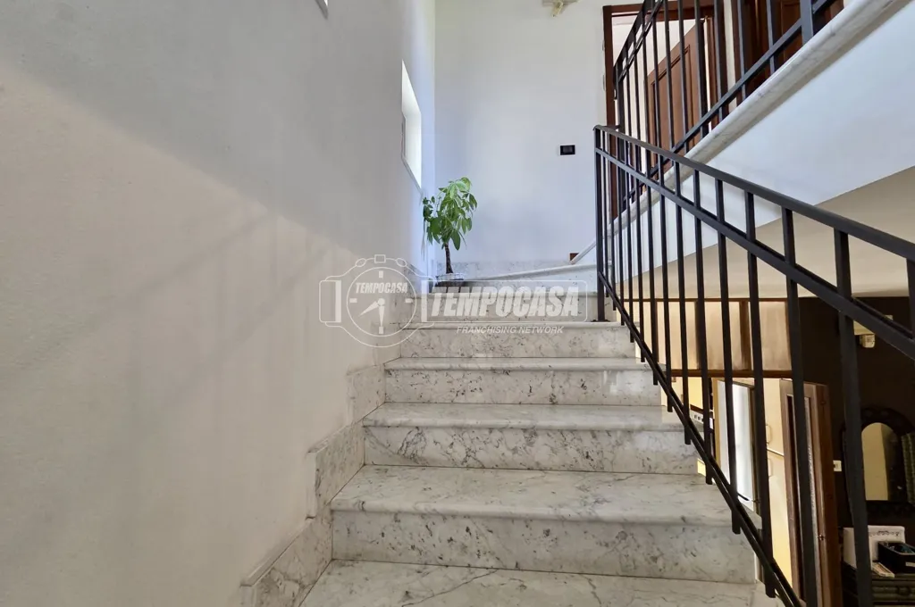 Toad - Rustic Villa with Garden in Castagnola, Massa