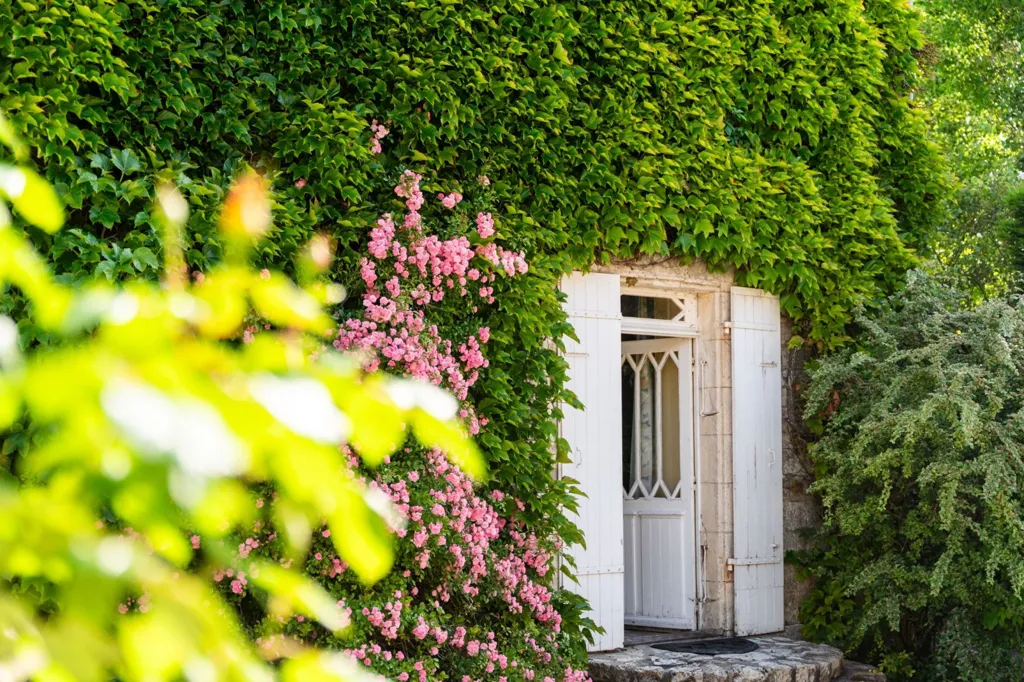 Jardin - Maison Napoléonienne à 15 min de Châtelaillon-Plage