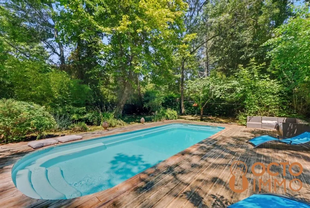 Bassein - Villa with Garden and Pool in Pibrac