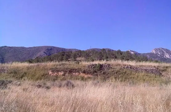 Giardino - Land Parcel in Romana, Alicante