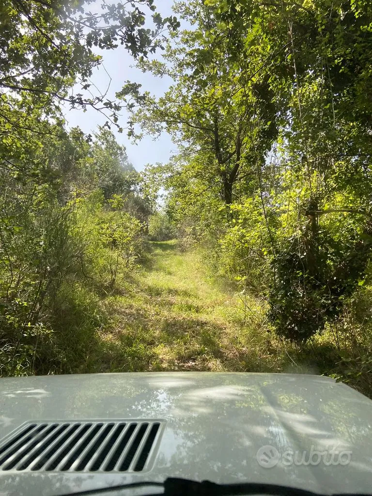 Giardino - 40 Hectare Land with Buildable Plot in Urbino
