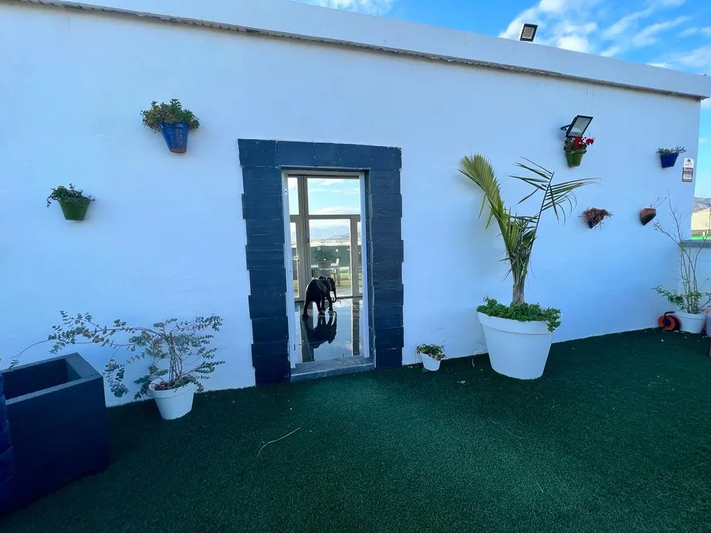 Terrace - Studio with Pool in Motril