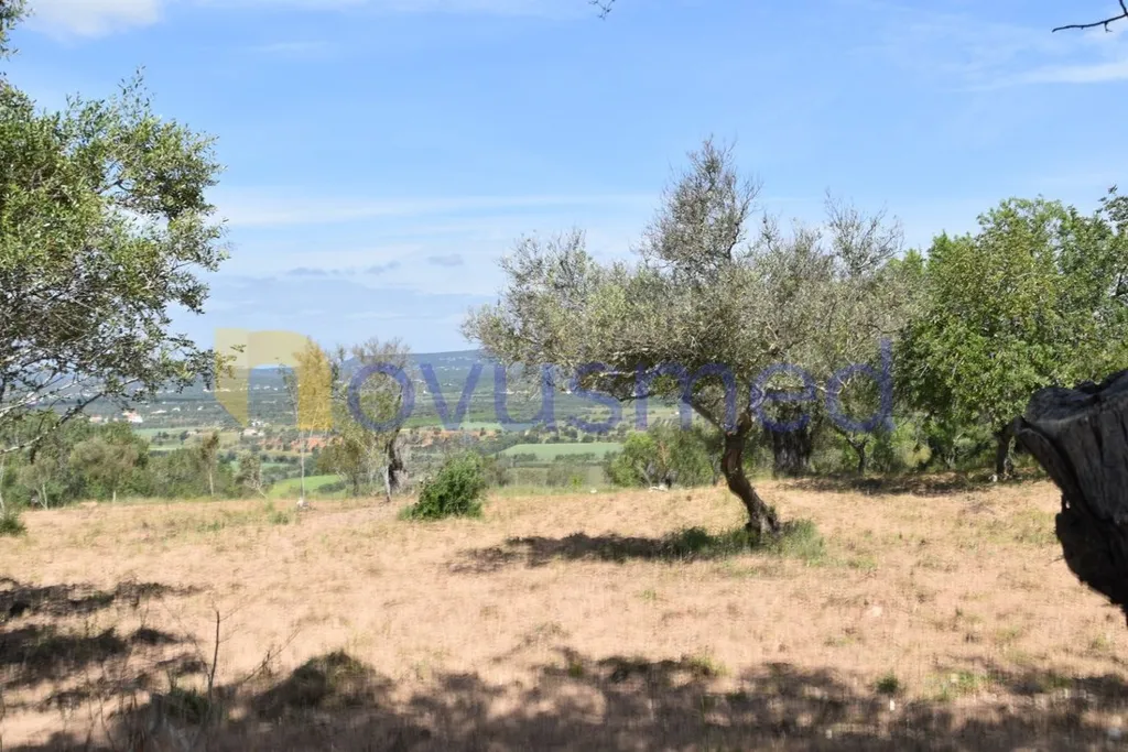 Garden - Plot for 12 Houses with Mountain View in Albufeira