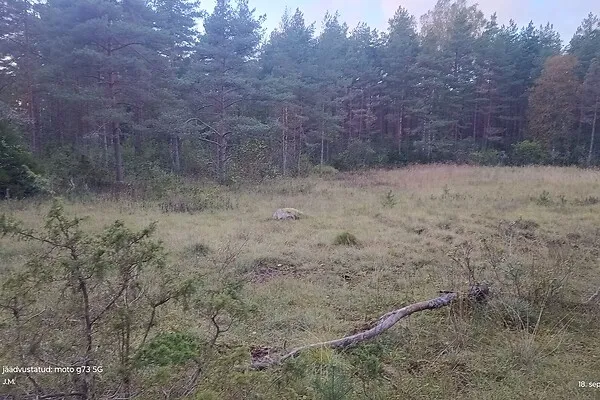 Aed - Maa asukohas Hiiumaa vald