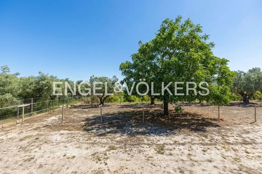 Aed - Equestrian Estate with Pool in Enguera