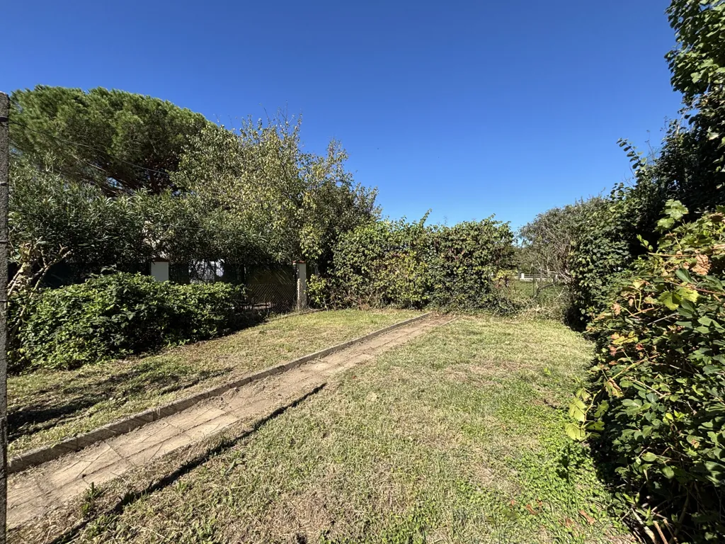 garden