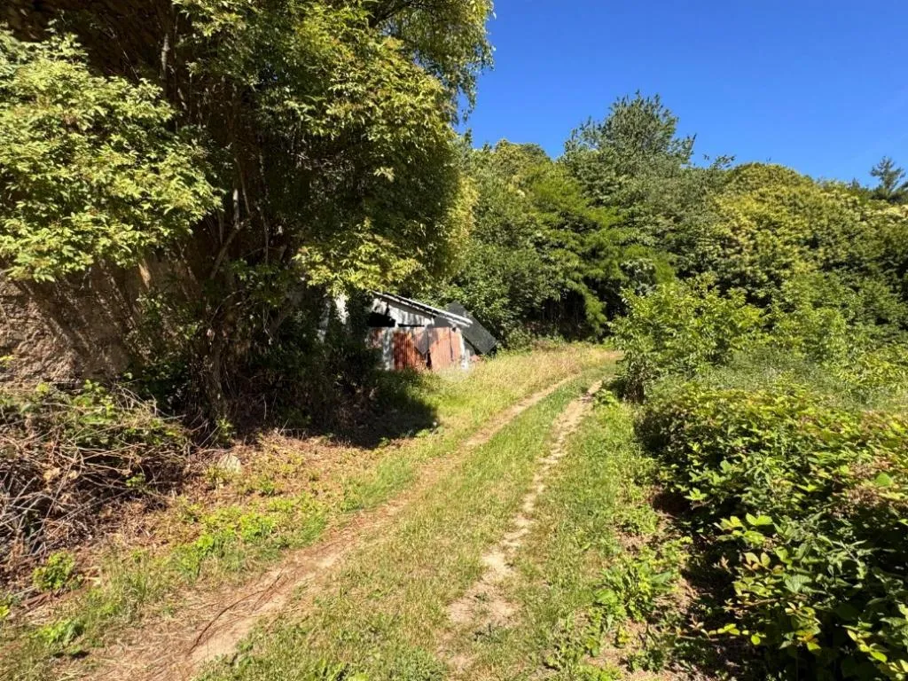 Giardino - Rustic Property with 25,700m² Land in Verzuolo