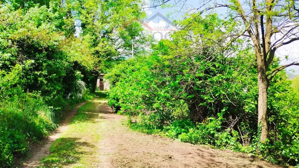 Garden - Rustic Property with Mountain View in Teolo