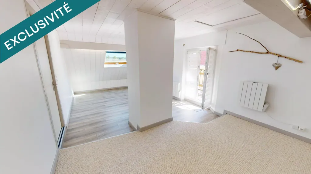Entrée - Triplex avec Grand Extérieur au Cœur de Didenheim