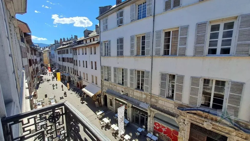 Välivaade - Luxury Apartment with High Ceilings in Chambéry