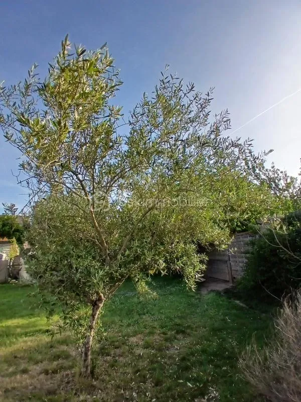 Jardin - Longère Rénovée avec Jardin au Cœur du Village