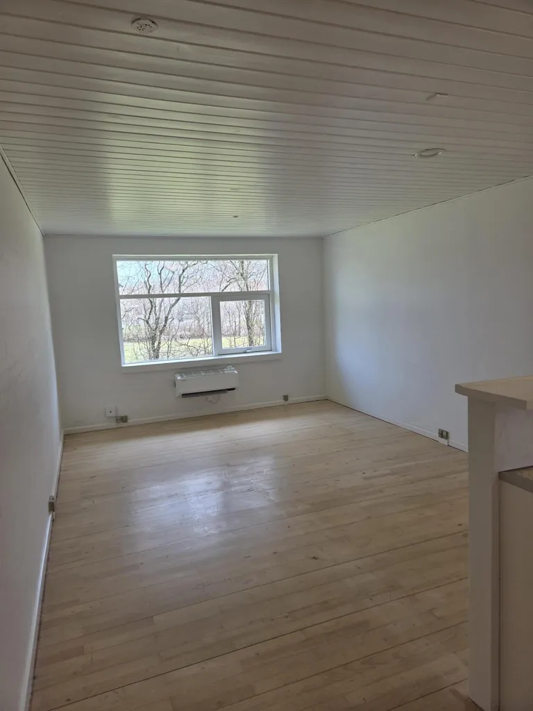 Séjour - Renovated Studio Flat with Terrace in Ørnhøj