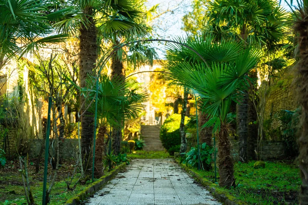 Jardin - Maison de Luxe avec Terrasse à Marennes