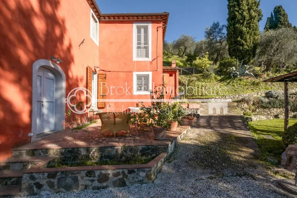 Exterior - Rustic Villa with Olive Grove in Massarosa