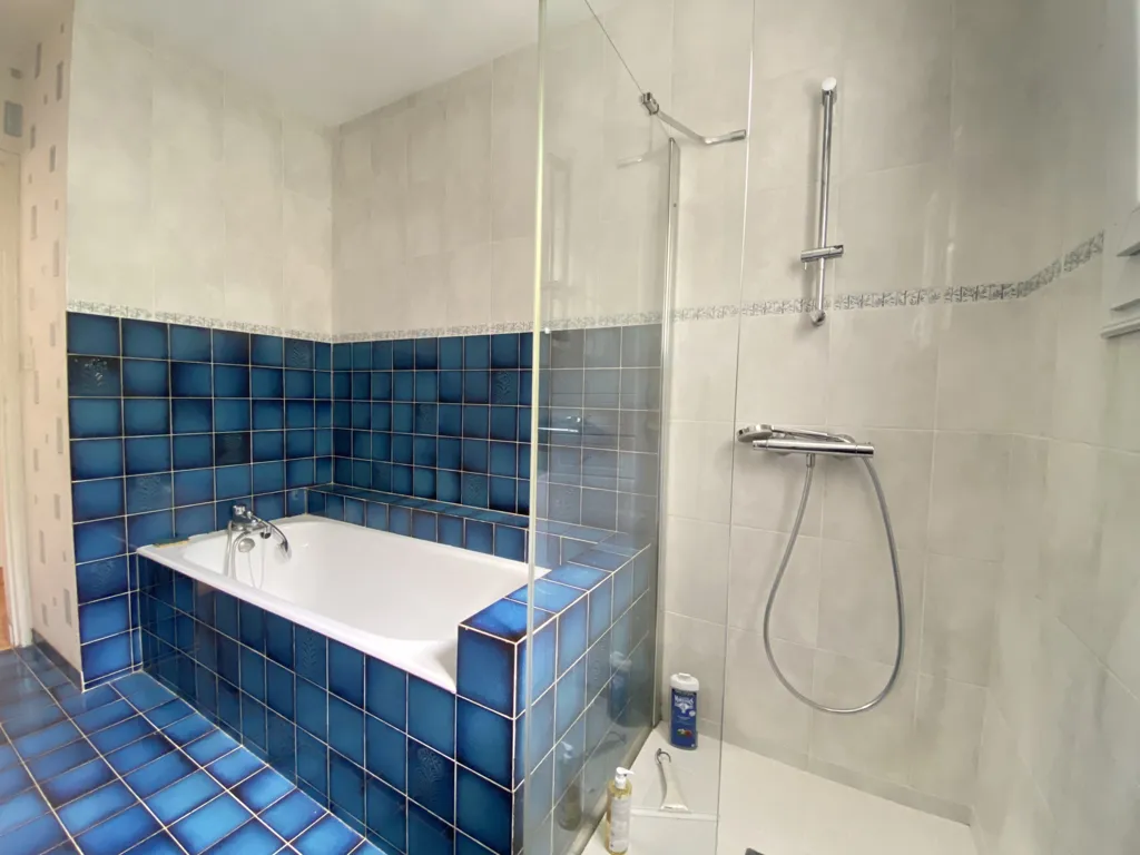 Vannitoad - House with Garden and Basement in Saumur