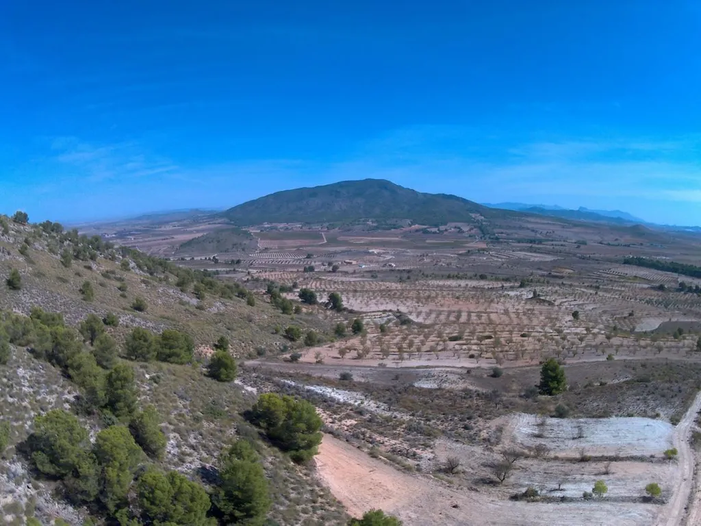 Rural Plot with Orchard Views in Yecla