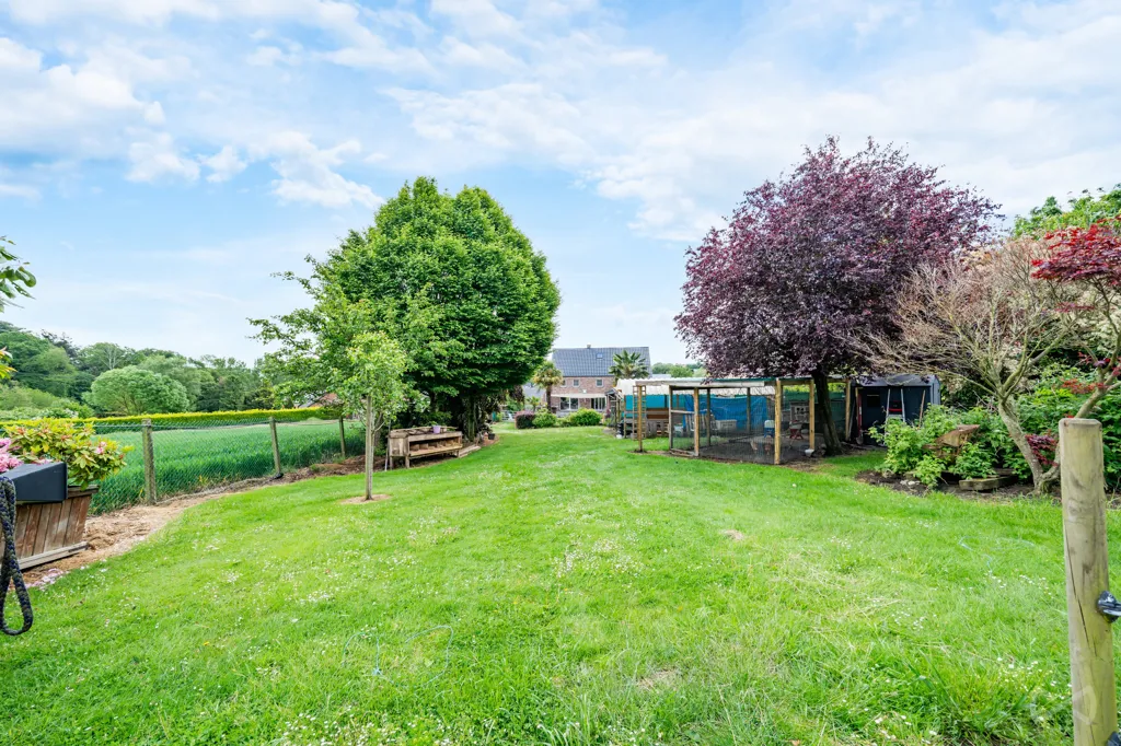 Garden - House with Photovoltaic Panels in Courcelles