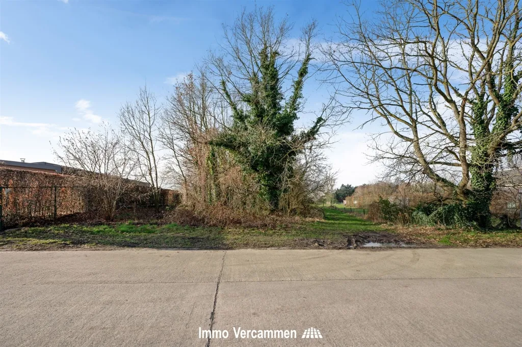 Jardin - Terrain de Construction avec Vue Sud-Ouest à Putte