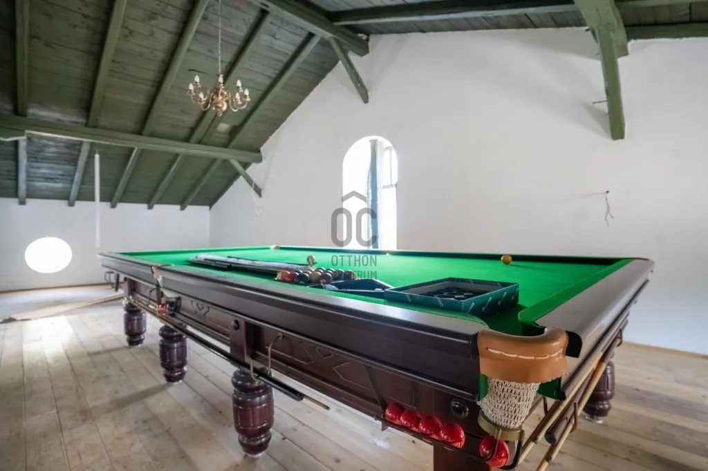 Toad - Historic Villa with Event Space in Nemesvita