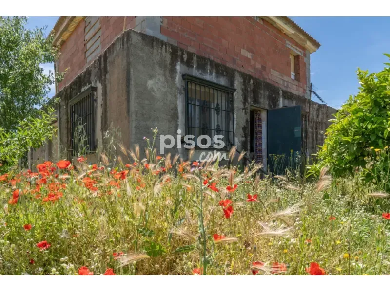 Extérieur - Rustic Chalet with Terrace in Moraleda de Zafayona