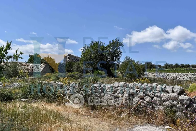 Garden - Rustic Cottage with Olive Grove in Modica