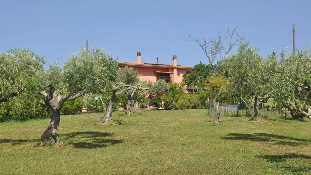 Jardin - Villa with 360° View in Rosignano Marittimo