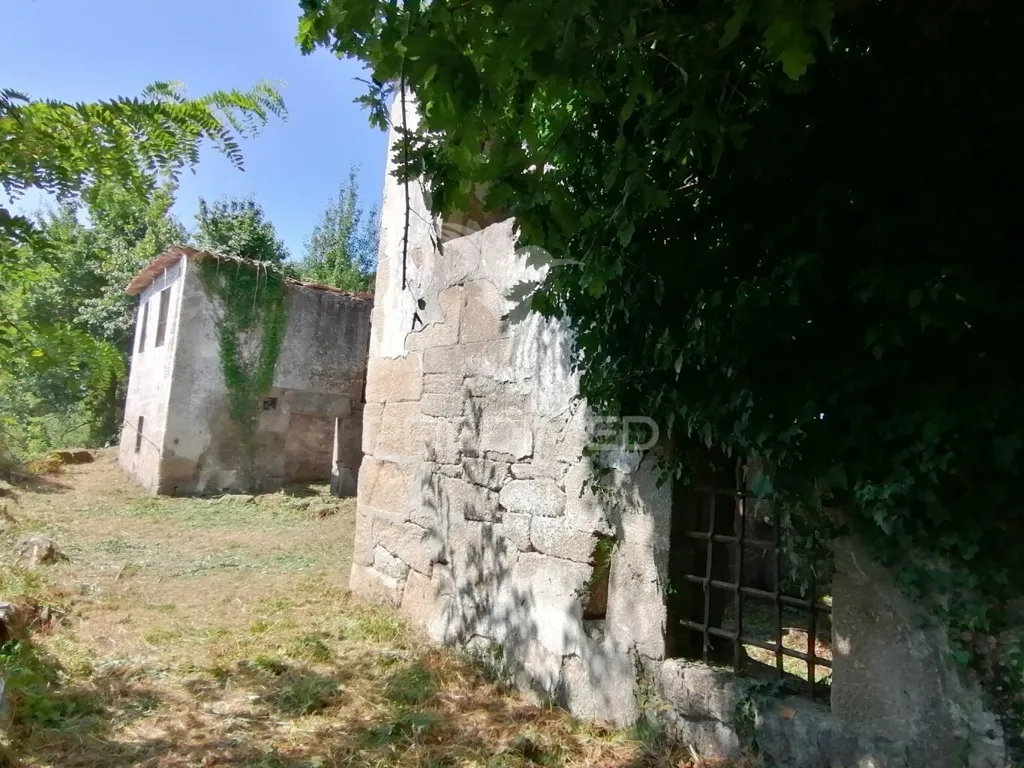 Välivaade - Rural Quinta with Olive Trees in Douro Region