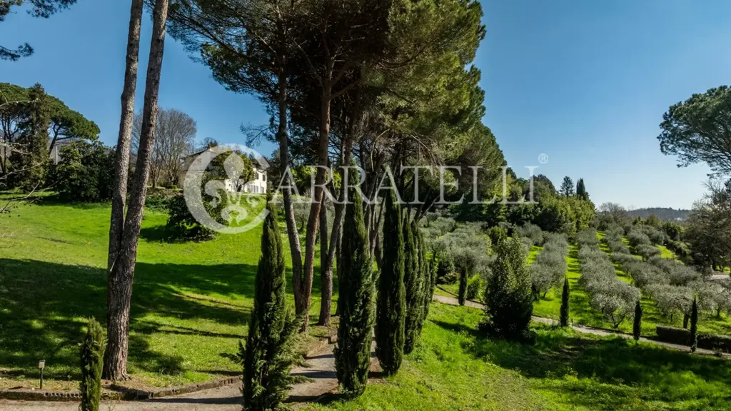 Aed - Historic Villa with Olive Grove in Capannori