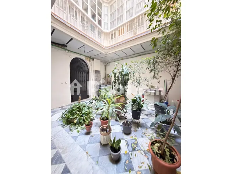 Jardin - Reformed Apartment with Balcony in Cádiz