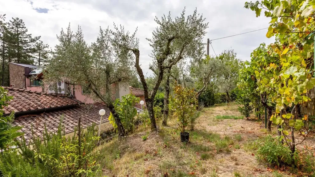 Aed - Luxury Villa with Private Garden in Reggello