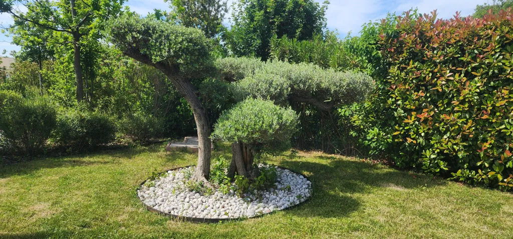 Jardin - Villa avec vue sur le golf à Aix-en-Provence